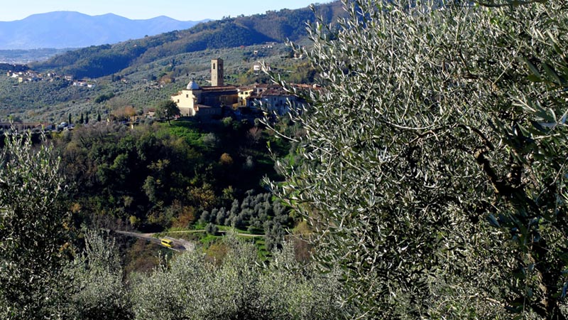 L’ANELLO DI MASSA E COZZILE (COLLINE DELLA VALDINIEVOLE)