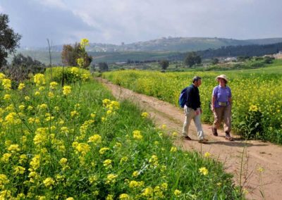 In cammino tra Nazareth e Cana