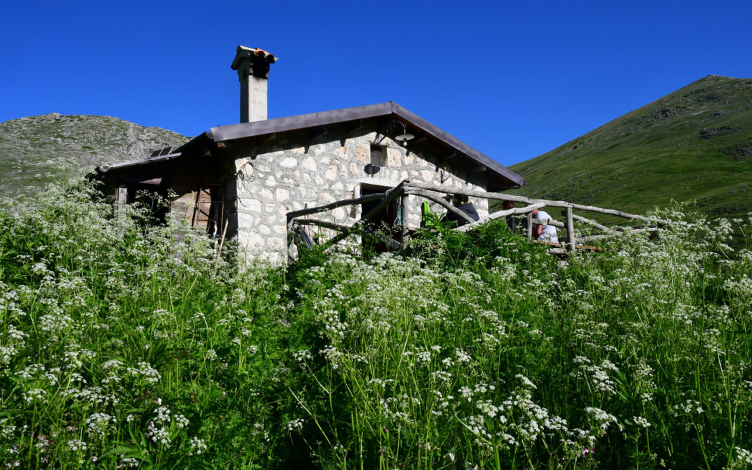 DA SCANNO AI RIFUGI DEL CAMPO E DEL CAMPITELLO