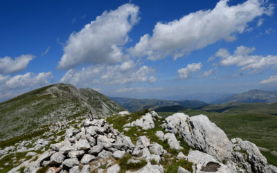 DALLA SELVA BELLA ALLA ROCCA CHIARANO