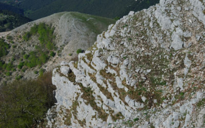 DAL PIAN DELLA FAGGETA AL MONTE SEMPREVISA (MONTI LEPINI, LAZIO)