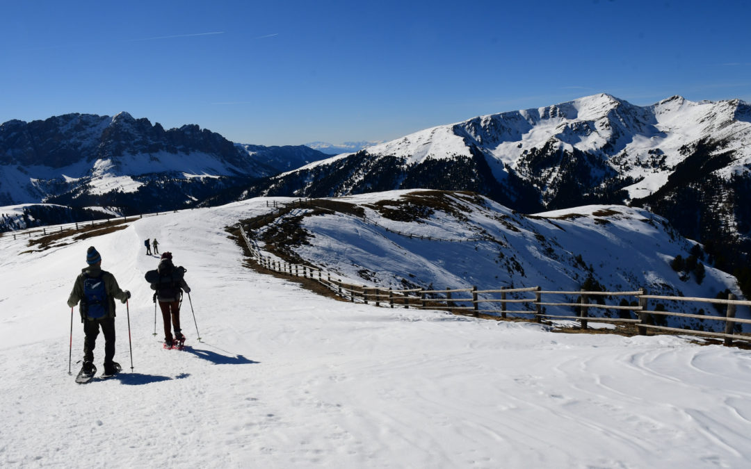 CON LE CIASPOLE SUL MONTE MURO (ALPE DI LUSON, ALTO ADIGE)