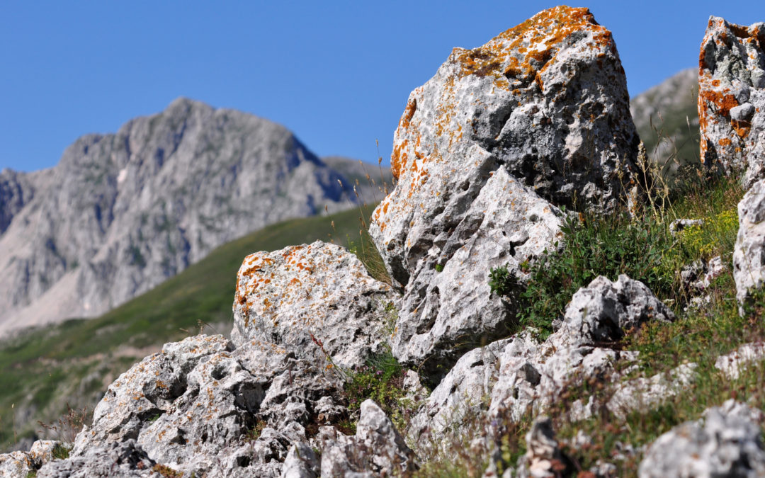 IL MONTE I PORCINI E IL MONTE DI CAMBIO (TERMINILLO, LAZIO)