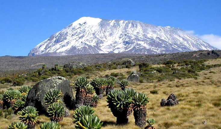 UNA CABINOVIA SUL KILIMANJARO?