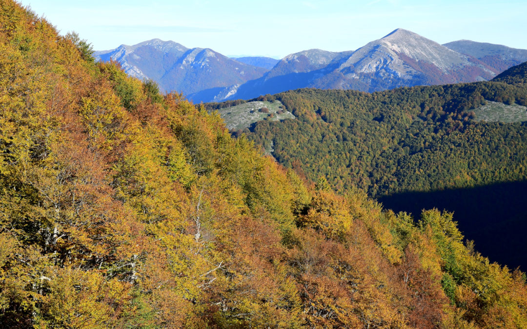 IL SENTIERO DEI FIORI E IL MONTE CREPACUORE (PARCO DEI MONTI SIMBRUINI, LAZIO)