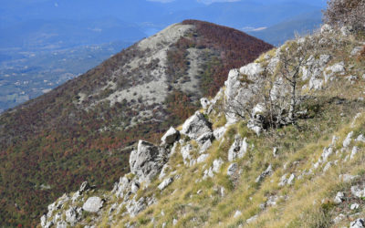 DA POGGIO BUSTONE A CIMA D’ARME (MONTI REATINI, LAZIO)