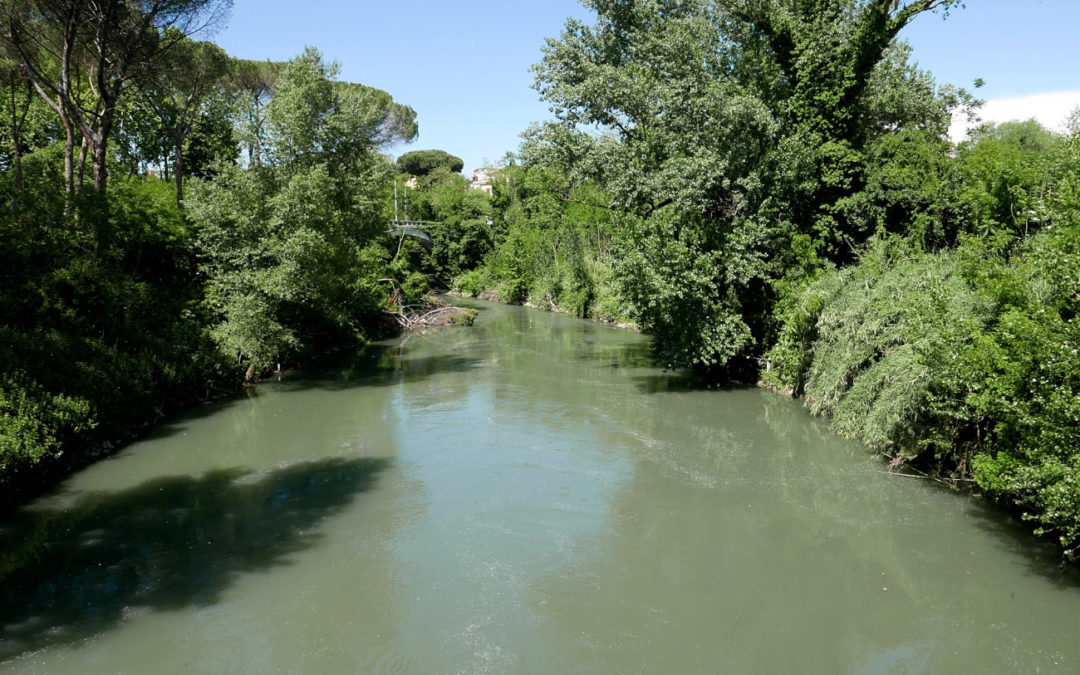 LUNGO L’ANIENE DAL PONTE NOMENTANO ALLA VIA TIBURTINA (RISERVA DELL’ANIENE, ROMA)