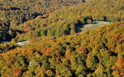 DALLA VALLE MAIURA AL MONTE AUTORE (PARCO DEI MONTI SIMBRUINI, LAZIO)