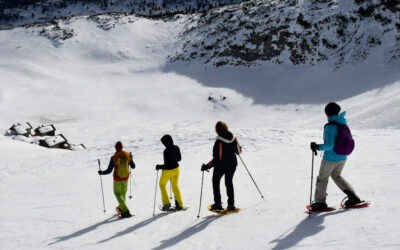 UN APPELLO PER SALVARE L’ALTRA NEVE