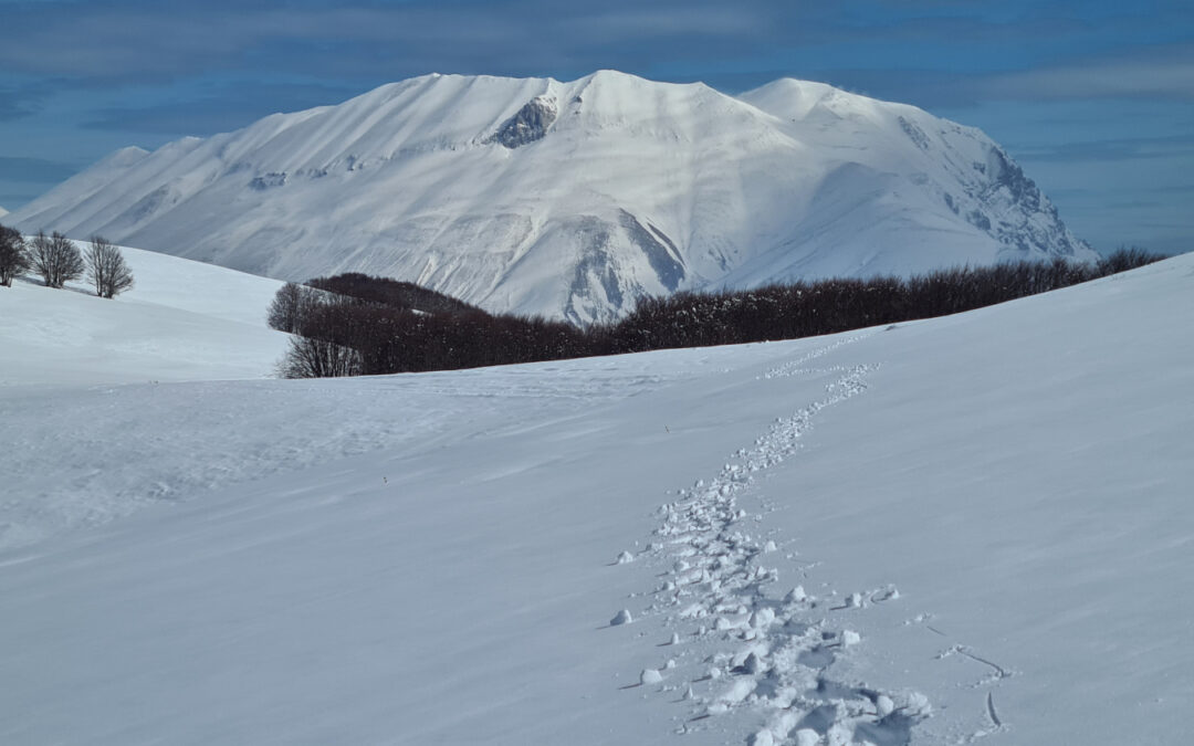 CON LE CIASPOLE AI PANTANI DI ACCUMOLI (MONTI SIBILLINI, UMBRIA E LAZIO)