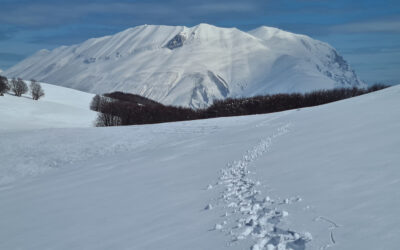 CON LE CIASPOLE AI PANTANI DI ACCUMOLI (MONTI SIBILLINI, UMBRIA E LAZIO)