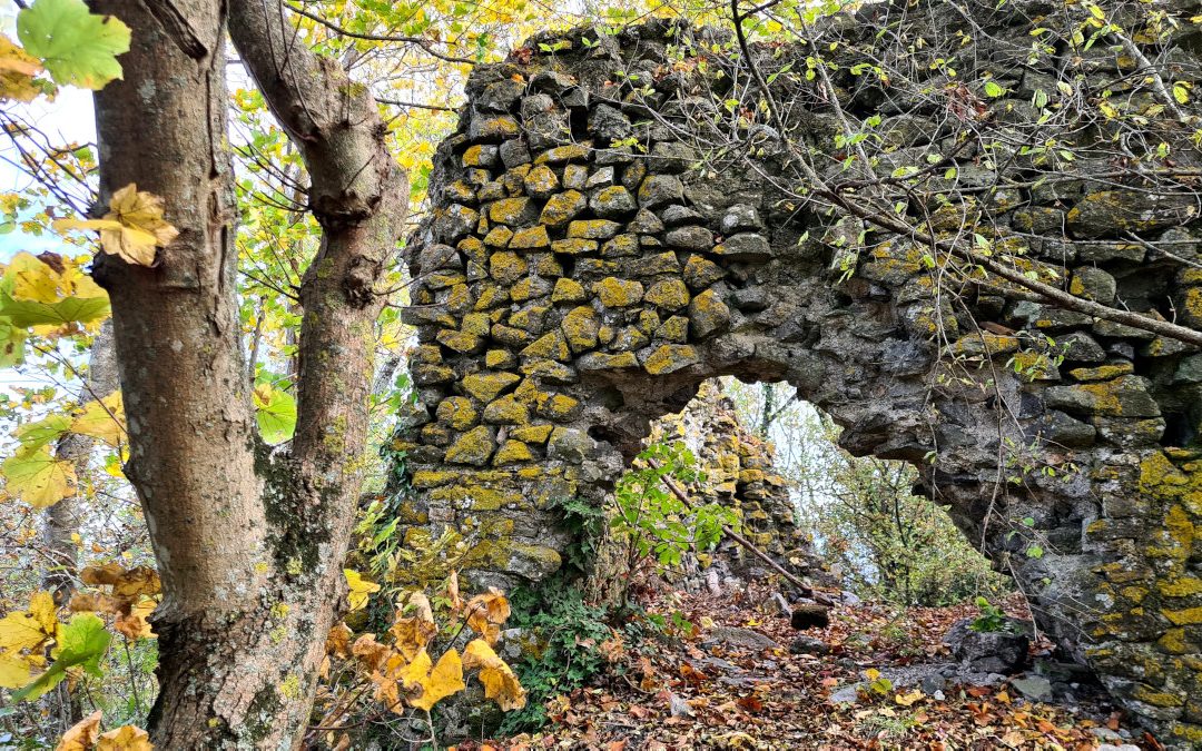 DA TREVIGNANO AL MONTE DI ROCCA ROMANA (PARCO DEI LAGHI DI BRACCIANO E MARTIGNANO)