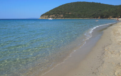 L’ANELLO DI CALA MARTINA, CALA VIOLINA E POGGIO SENTINELLA (COSTA DI SCARLINO)