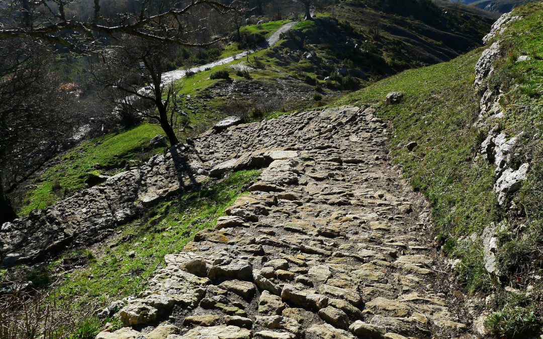 DA CARPEGNA AL SASSO SIMONE (PARCO SIMONE-SIMONCELLO, MARCHE)