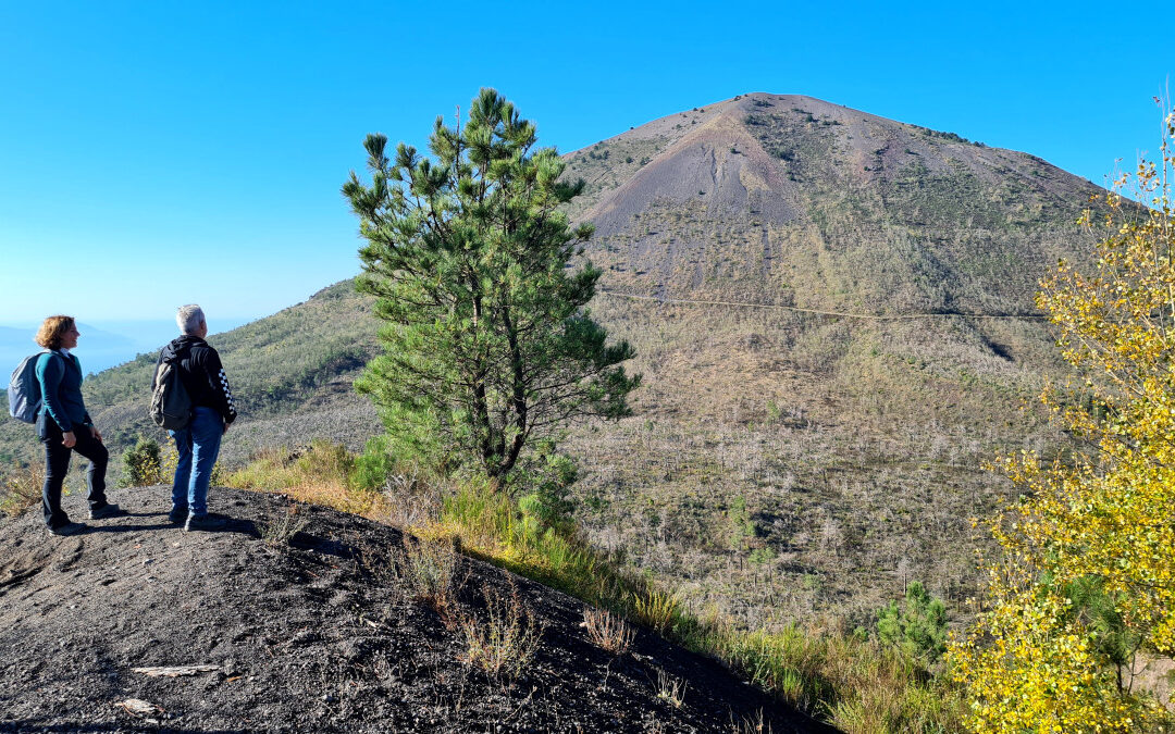 IL SENTIERO DEI COGNOLI DI OTTAVIANO (PARCO DEL VESUVIO, CAMPANIA)