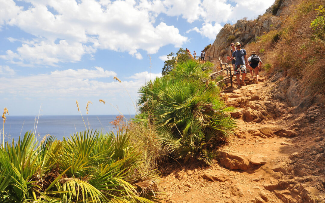 NELLA RISERVA DELLO ZINGARO (SICILIA)