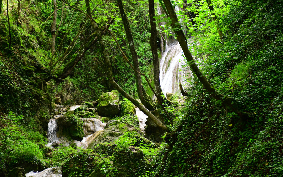 DA CINETO ROMANO ALLE CASCATE DI RIOFREDDO: UNA BELLA SORPRESA CHE RICHIEDE ATTENZIONE