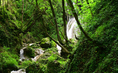 DA CINETO ROMANO ALLE CASCATE DI RIOFREDDO (MONUMENTO NATURALE DI RIOSCURO, LAZIO)