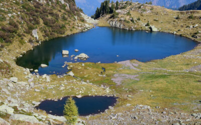 DA MALGA VALMAGGIORE AL LAGO DI MOREGNA E A FORCELLA COLDOSE’ (LAGORAI, VAL DI FIEMME, TRENTINO)