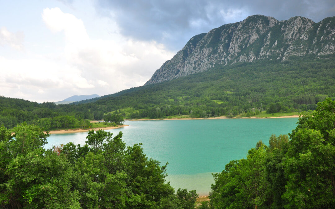 MOLISE: L’ENEL “VERDE” CONTRO LA NATURA E GLI ORSI