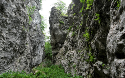 L’ANELLO DELLA CITTA’ DEI SASSI E DEL BOSCO DELL’ASCHIERO