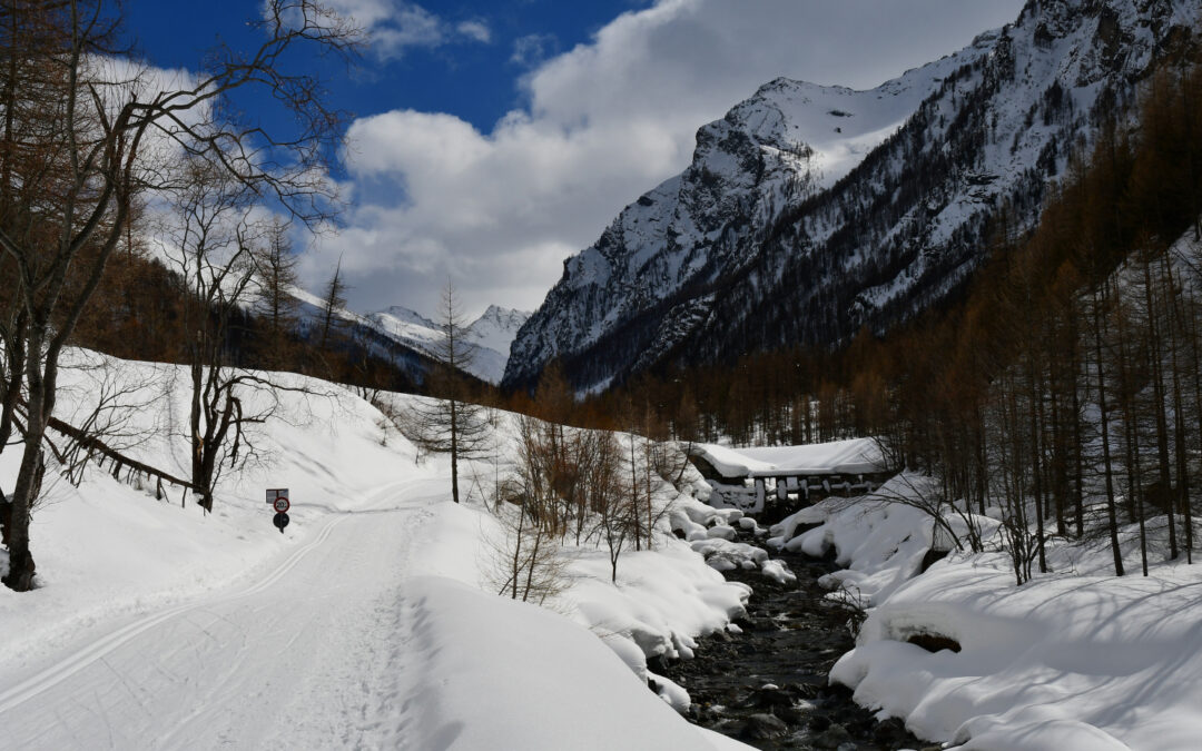 CON LE CIASPOLE DA PRAGELATO ALLA VAL TRONCEA (VAL CHISONE, PIEMONTE)