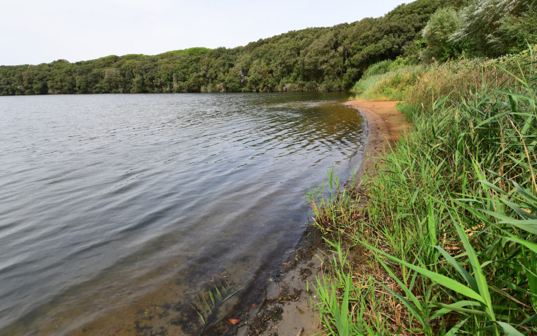 DA SABAUDIA AL LAGO DI PAOLA (PARCO DEL CIRCEO, LAZIO)