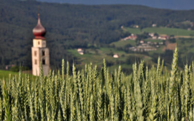 DA CASTELROTTO ALLA CHIESA DI SAN VALENTINO E A SIUSI (ALTOPIANO DELLO SCILIAR, ALTO ADIGE)