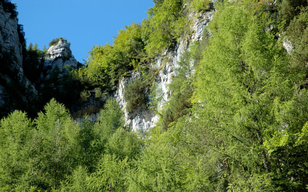 DA GOBBERA AL MONTE TOTOGA (VALLE DEL CISMON, TRENTINO)