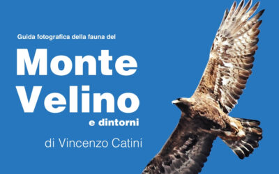 AVEZZANO, PRESENTAZIONE DELLA “GUIDA FOTOGRAFICA DELLA FAUNA DEL MONTE VELINO”