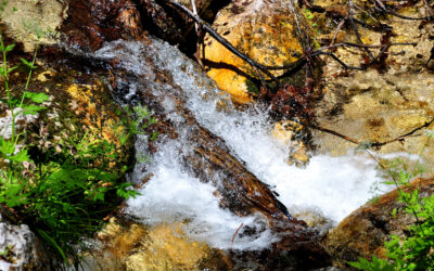 DA CIVITELLA ALFEDENA ALLA CAMOSCIARA (VALLE DEL SANGRO, ABRUZZO)