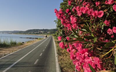 IL SENTIERO DELLA COSTA E DELLA BATTAGLIA DI ORTONA