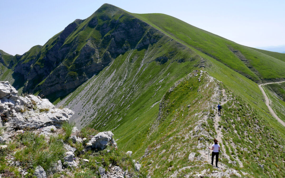 DAL RIFUGIO SEBASTIANI AL MONTE ELEFANTE E AL MONTE VALLONI