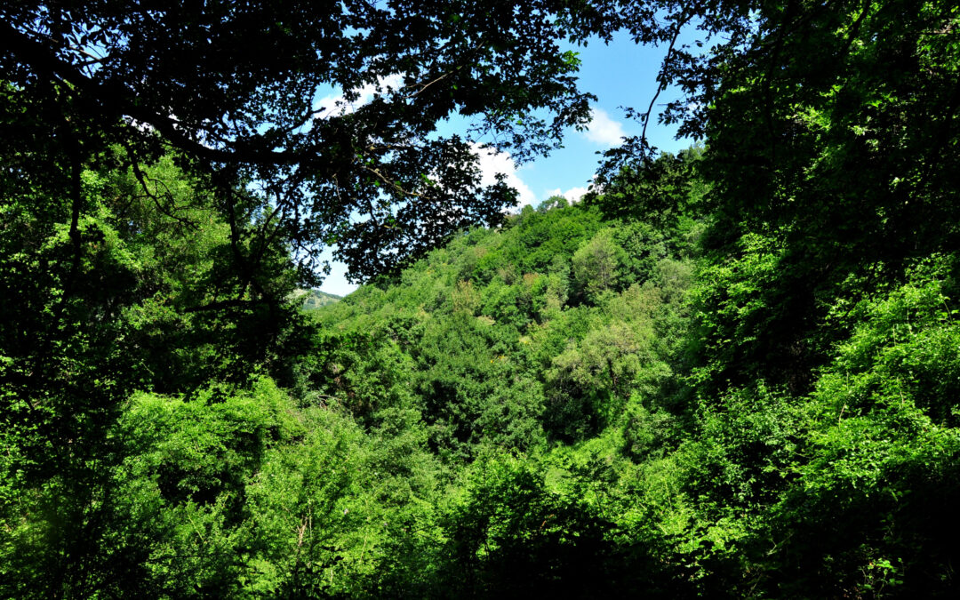 DA POGGIO PERUGINO AL MONTE PIZZUTO (MONTI SABINI)
